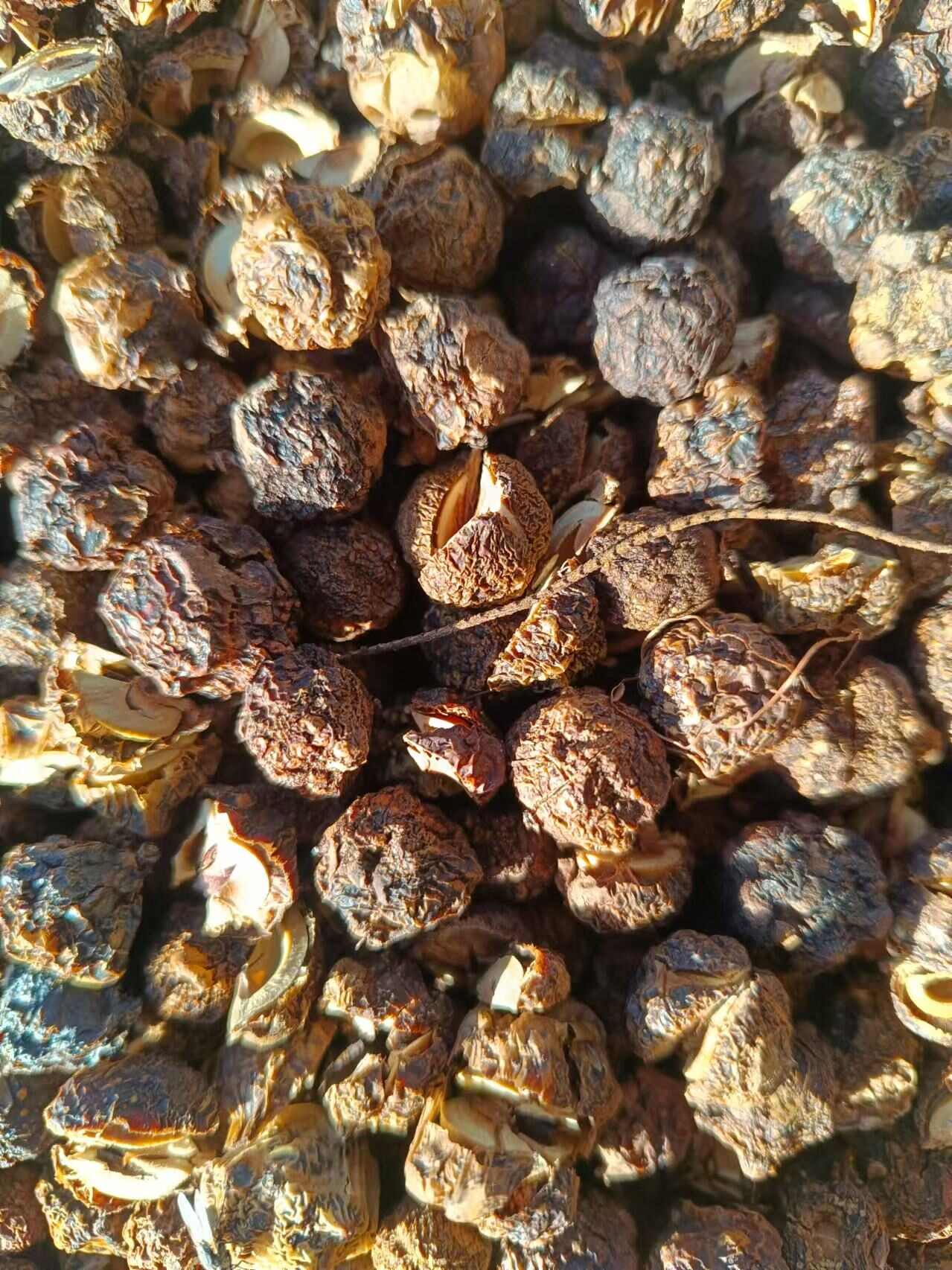 余甘子干 大货统货 含量保证