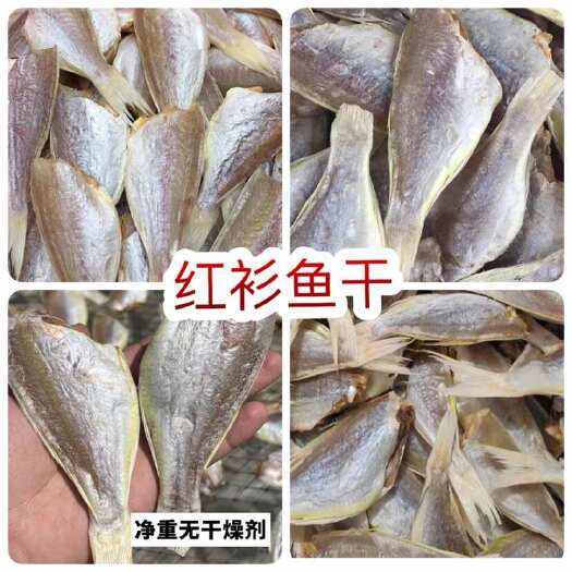 佛山红衫鱼 地摊电商批发红杉鱼干红衫鱼干干鱼干红三鱼干