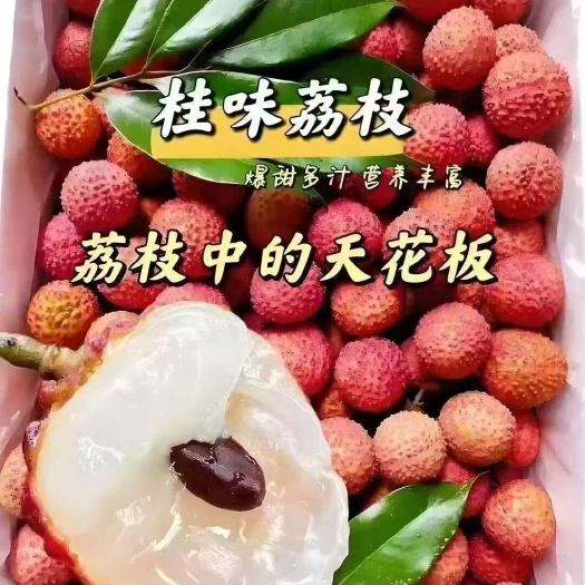 高州市广东茂名高州桂味荔枝新鲜现摘当季热带水果批发零售