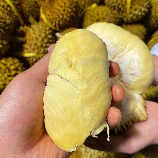 昆明不批发【泰国金枕榴莲】每个包3-4房，坏果包赔，生开不赔