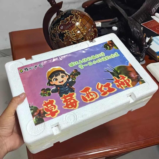 寿光市草莓西红柿，草莓番茄，铁柿子，绿腚番茄糖度8个以上，自然成熟