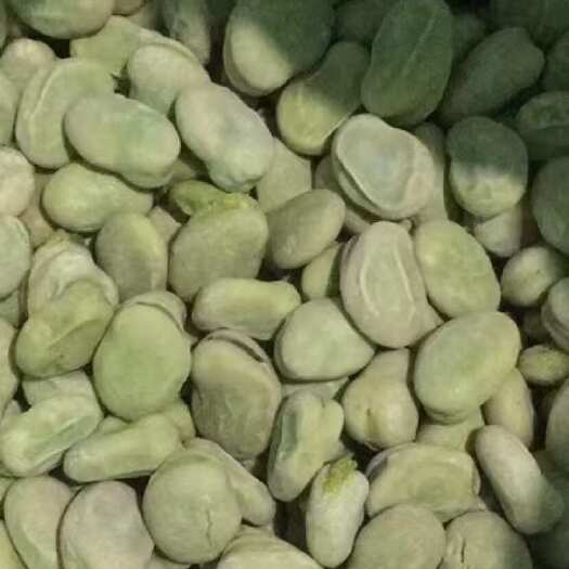 临沭县新鲜速冻蚕豆粒