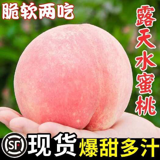 江油市四川蜜桃软硬两吃香甜多汁高山露天种植蜜桃一件代发一件也是