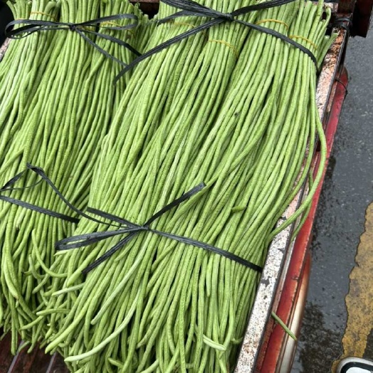 鹿寨县柳州长豆角，大量上市，需要的联系