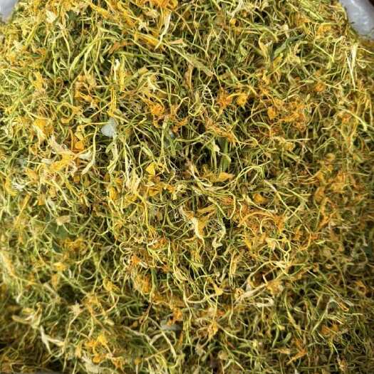 金银花 五彩花