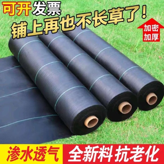 德州1. PP编织防草布 抗老化抗UV 农业园艺地布 可定制宽度