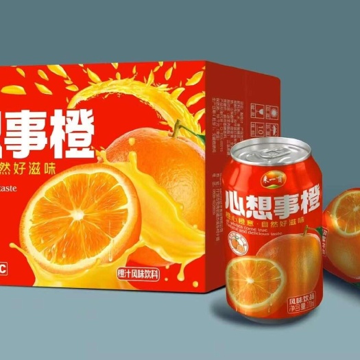 邛崃市夏季果汁饮料，清凉一夏24瓶一箱