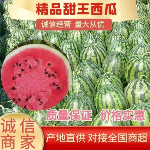 辽宁沈阳新民新鲜甜王西瓜 有籽瓜果现摘现发