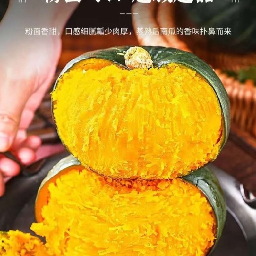 北京贝贝南瓜