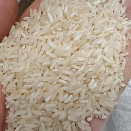 池州酒米