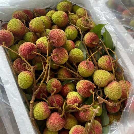 化州市广东茂名妃子笑荔枝新鲜采摘当季热带水果批发