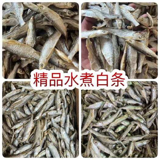 佛山精品水煮白条鱼干 地摊电商批发无盐白条鱼干河鱼鱼仔干货餐条鱼