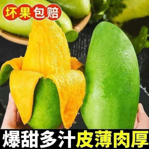 景洪市芒果工厂货大青芒苹果芒苔农贵妃芒大量上市工厂货茨果低价处理