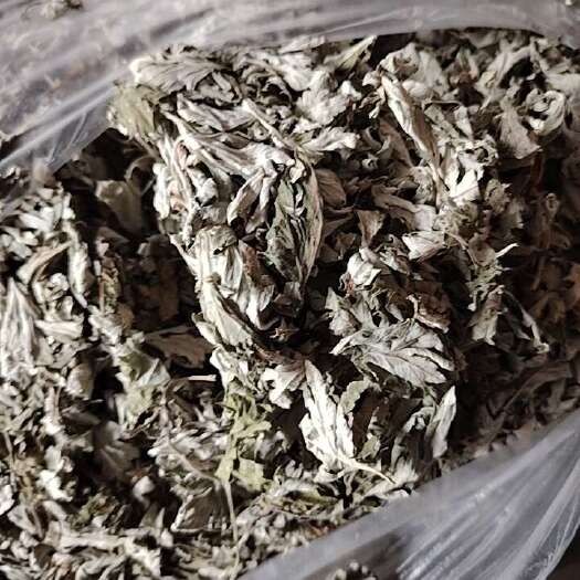 阆中市艾叶中药材批发 产地直供 干燥纯净 草本植物