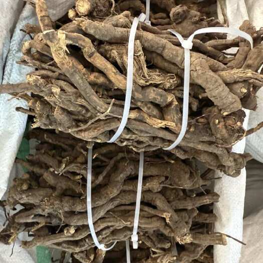 玉林金线风