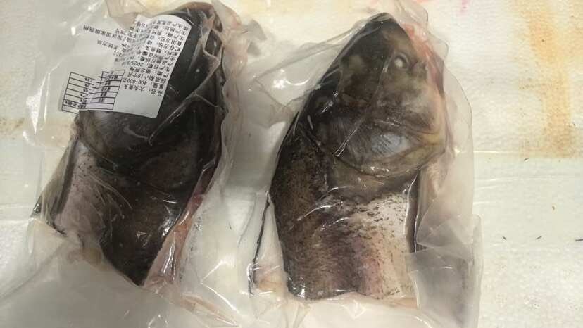 佛山广东佛山水库鱼花鲢鱼头批量供应【有意者可谈】