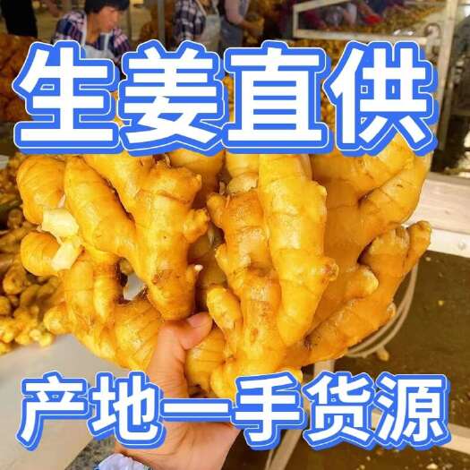 常年供应大黄姜生姜块头大颜色好对接市场 电商 商超 出口加工