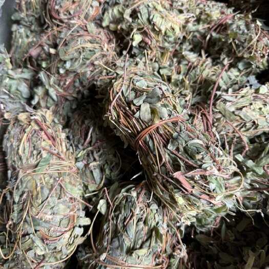 鸡骨草