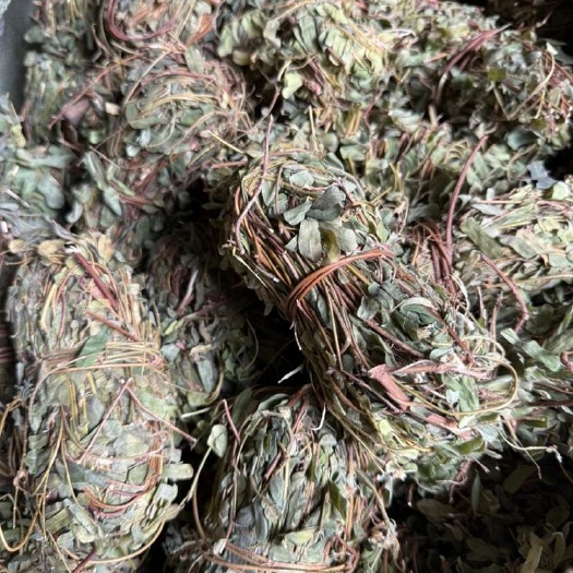 玉林鸡骨草