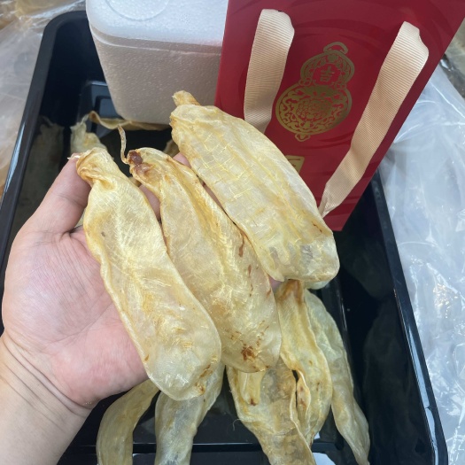 广州蜘蛛胶，鱼胶，花胶，佐罗胶，甲肚胶，甲肚片，渔民花胶原装花胶