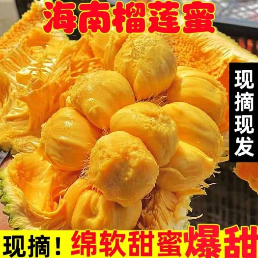 [顺丰包邮]榴莲蜜  海南榴莲蜜当季新鲜香甜软糯热带水果