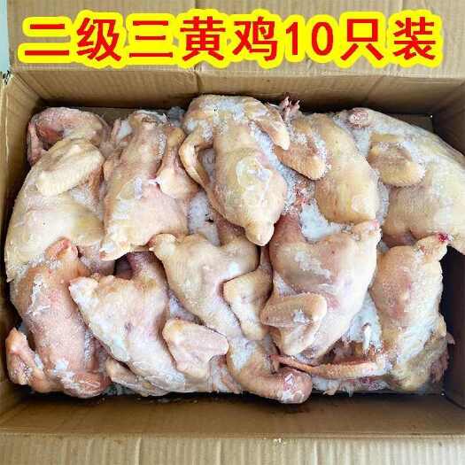 保定冷冻三黄鸡整只商用10只装批发二级三黄鸡白条鸡土鸡残鸡饭店食