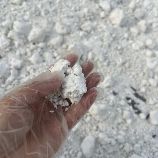 泗洪县红薯粉面，红薯淀粉