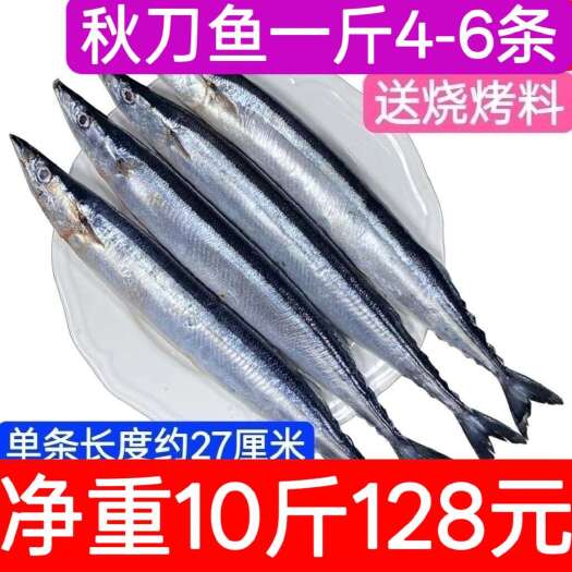 连云港秋刀鱼新鲜冷冻商用小号日式料理烧烤海鲜水产鲜活深海鱼10斤装
