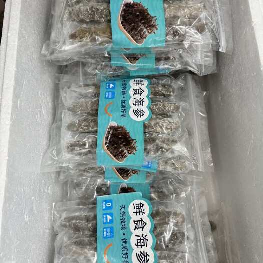 广州大连即食海参 辽参 货源充足
