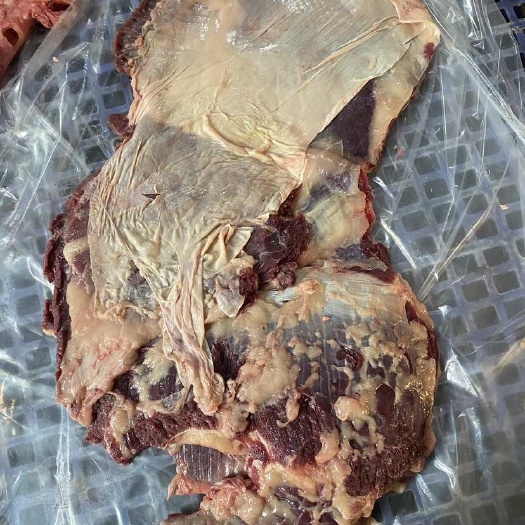新鲜牛腩，牛白腩，牛排腩，纯干，要瘦要肥可挑，黄牛母牛腩