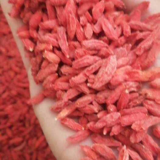 中宁县500粒小枸杞！原汁原味！泡茶泡酒佳品！含糖量低！清爽香甜！