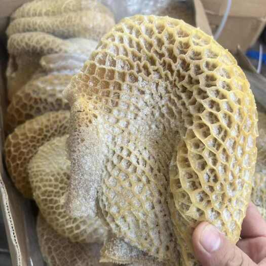 阳信县纯干金钱肚，