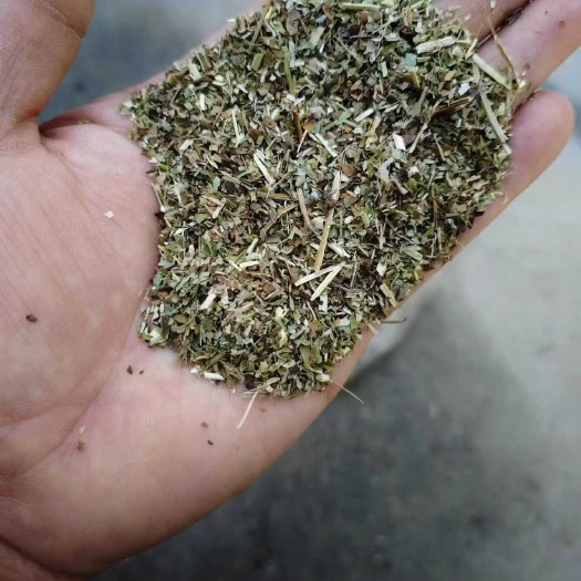 浚县花生秧叶粉