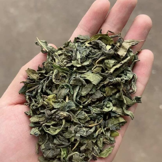松阳县茶头