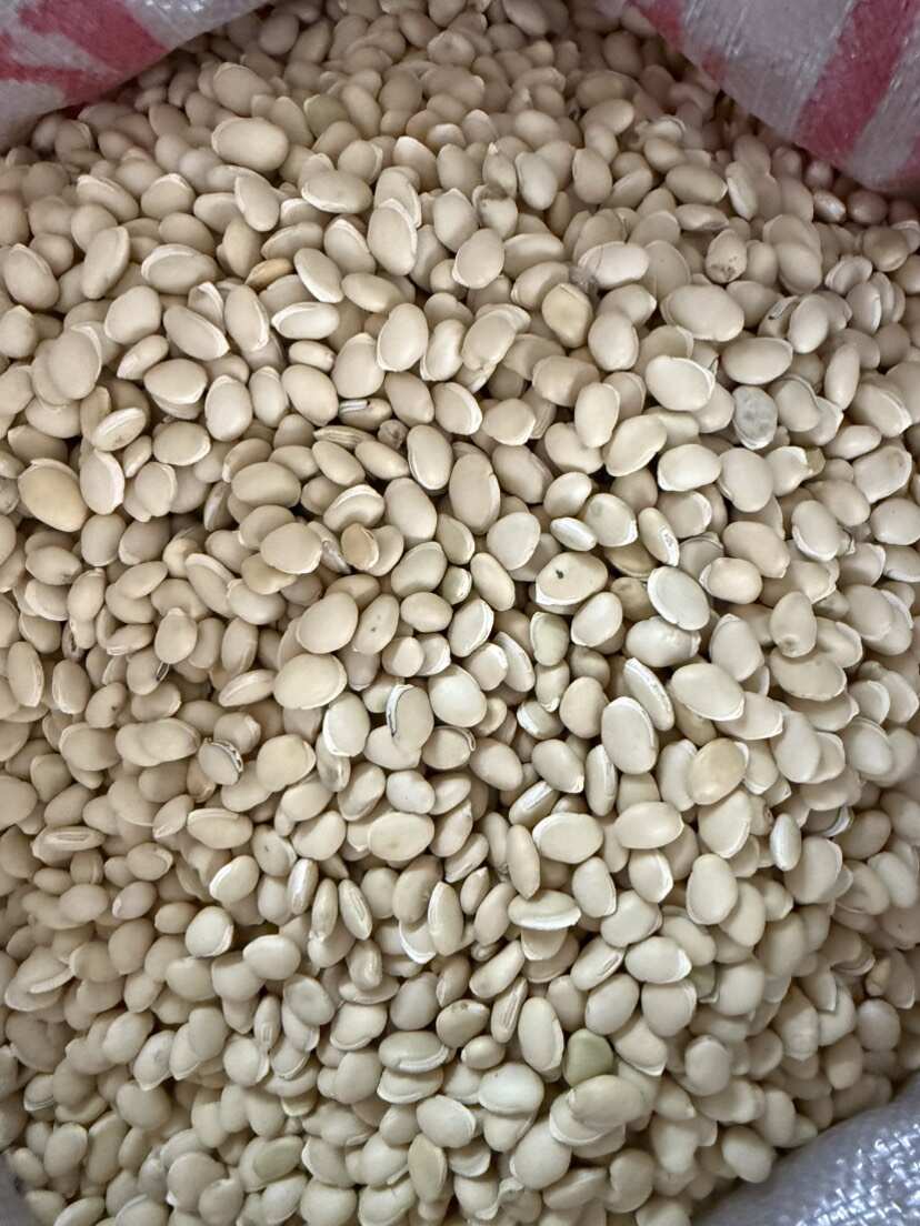 白扁豆 大白扁豆