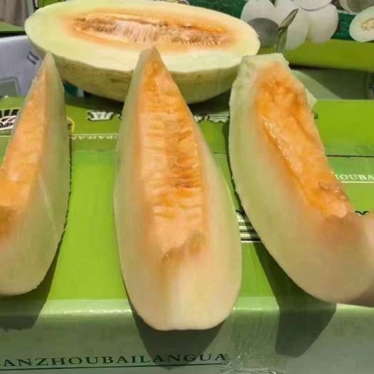 兰州甜瓜银帝