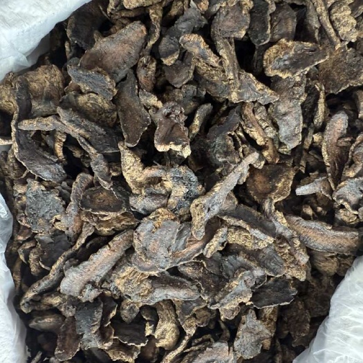 玉林生地黄 生地