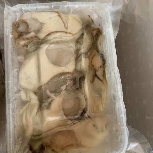 连云港原浆生蚝肉牡蛎肉现剥海蛎子肉单冻生蚝肉熟冻牡蛎肉鲜海蛎子肉