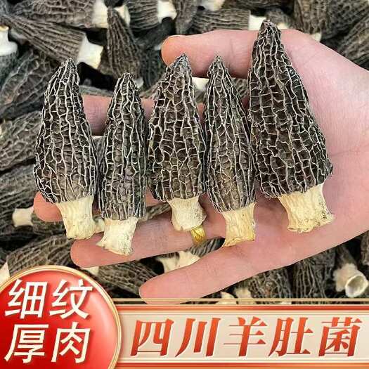 【羊肚菌】头茬高山羊肚菌干货500克袋装多规格可选包邮