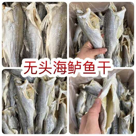 佛山无头海鲈鱼干 地摊电商批发无头海鲈鱼干卢肉卢仔加洲鲈鱼干干鱼