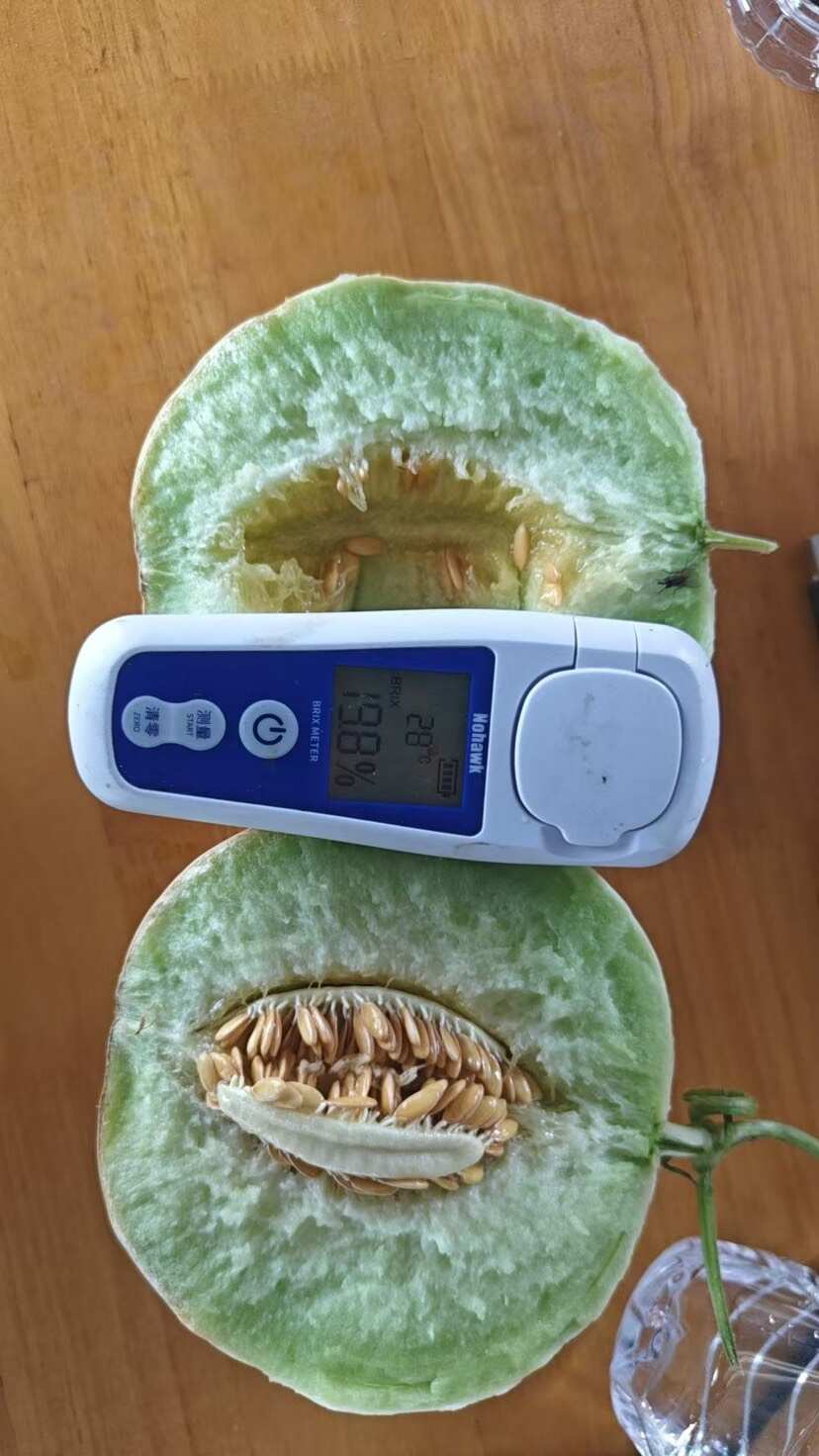 山东聊城新鲜玉菇甜瓜 瓜果类优质农产品 当日采摘发货