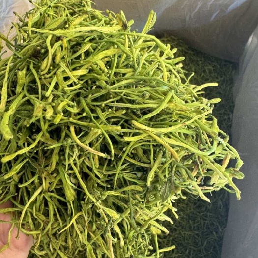 玉林山银花湖南新货山银花