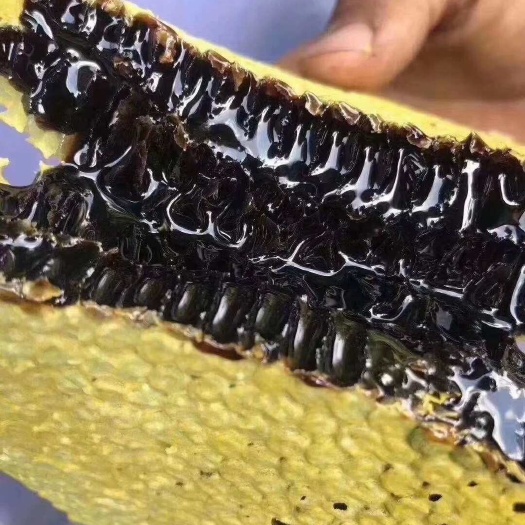 金平县云南米团花黑蜜