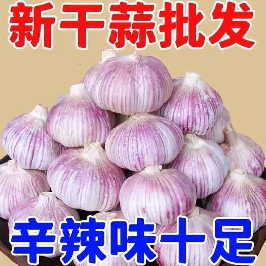 邳州市大蒜特级