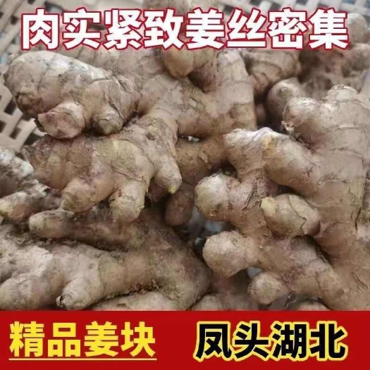 恩施市小黄姜