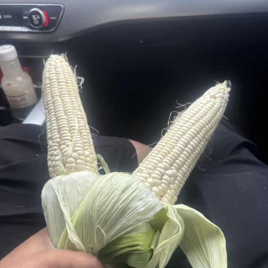 射洪市精品万诺188
