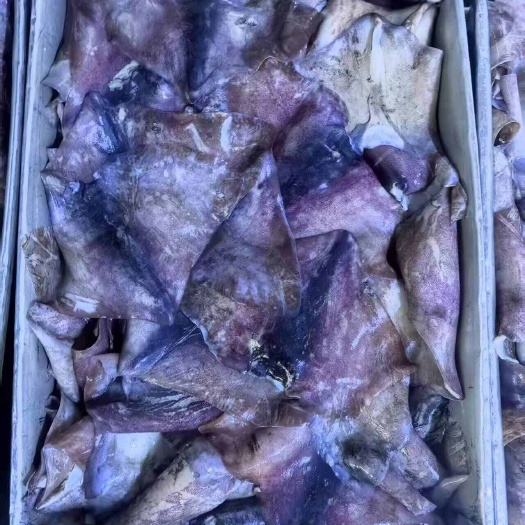北太鱿鱼300-500耳