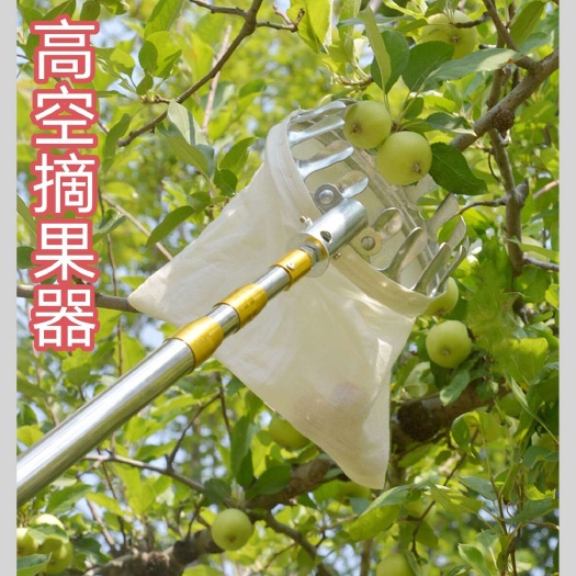临沂高空摘果器高空果实轻松摘，告别爬树烦恼摘果园必备，耐用实用