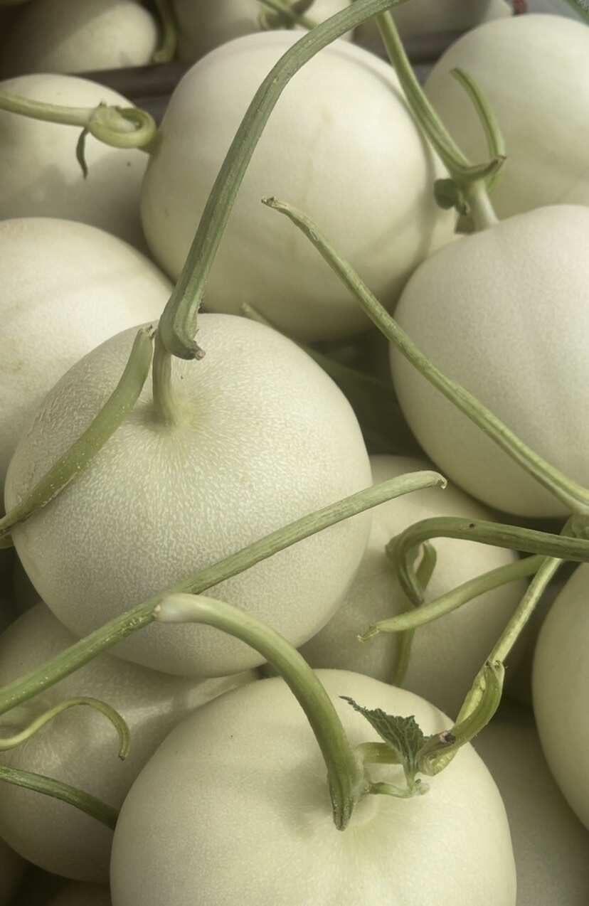 山东聊城新鲜玉菇甜瓜 瓜果类优质农产品 当日采摘发货