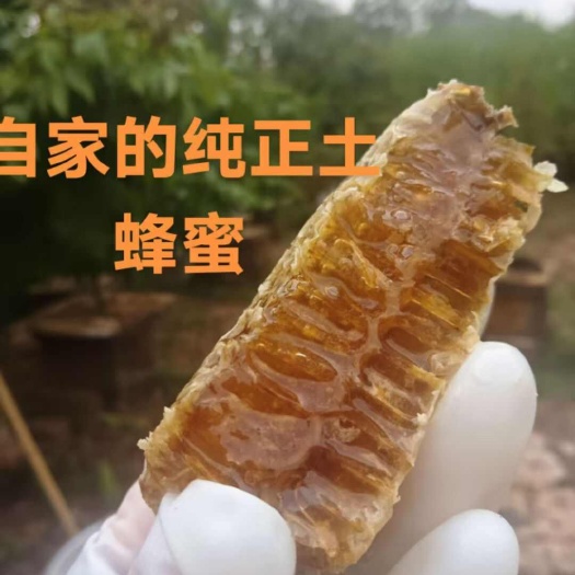 化州市自家养殖，有检测报告保障，纯正又天然，价格优惠！！